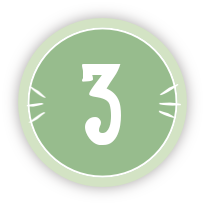 Step 3