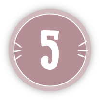 Step 5