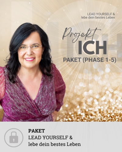 Projekt Ich Paket Locked